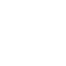 phone-icon