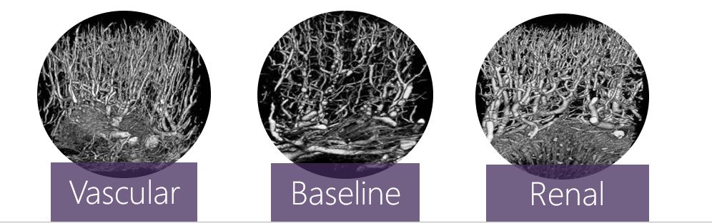 Evidence of vascular repair imaging