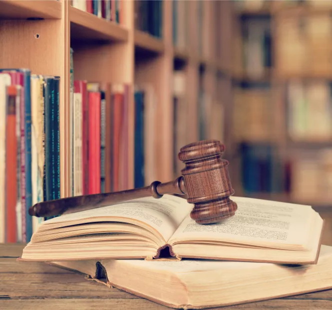 Patrick Wilson Law Terrorism IMG 06