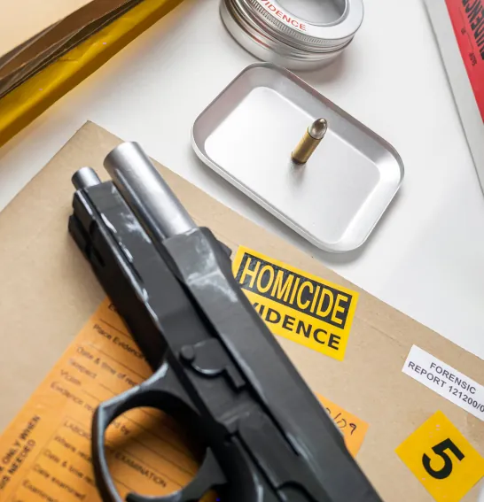 Patrick Wilson Law Violent Crimes IMG 73